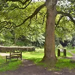 Vakantiehuis 2 Bed In Leyburn Oc-75441 *