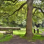 2 Bed In Leyburn Oc-75441